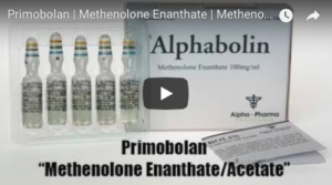 Primobolan | Methenolone Enanthate | Methenolone Acetate